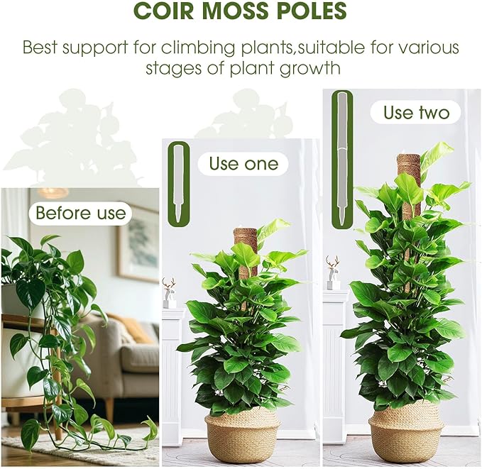 4 Pcs 21 Inch Moss Pole Monstera Plant Support, 68 Inch Moss Poles for Climbing Plants, Coco Coir Plant Stakes Support for Indoor Plants Moss Pole Sticks for Climbing Potted Live Plants, Philodendron