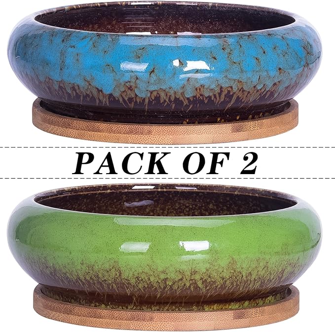 ARTKETTY Succulent Pots, 7.3 Inch Succulent Planters with Drainage Pack of 2, Shallow Bonsai Pot with Tray Ceramic Pots for Indoor Plants Large Cactus Flower Plant Bowl