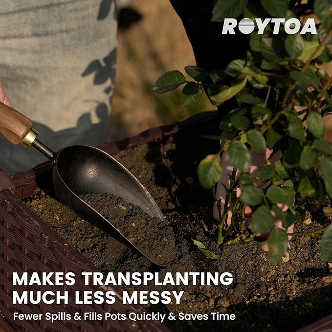 Soil Scoop Garden Trowel, Garden Spade with Ergonomic Walnut Handle, Small Hand Shovel for Transplanting, Digging and Cultivating