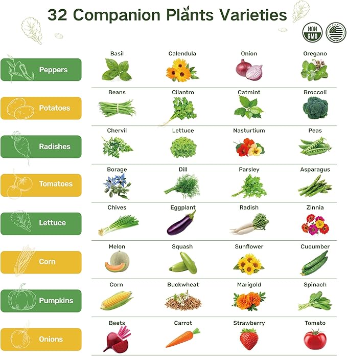 Lush&Dew Full Companion Plants Seed Bank, Gardening Gifts, 32 Varieties Non-GMO Heirloom Seeds for Planting Vegetables Herbs Flowers Fruits, Survival Seed Kit, Emergency Food Supplies