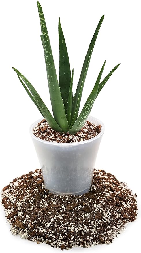 GARDENERA Premium Aloe Vera Potting Soil Mix - 20 Quart - (4 Bags of 5QT)