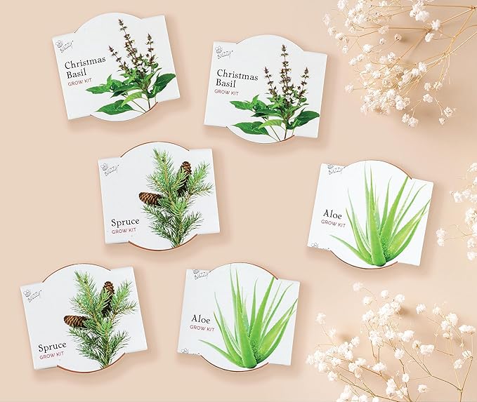 BUZZY Seeds Terracotta Mini Grow Pots | Herb, Plant, Flower Starter Kit for Kids & Adults | Assorted 6-Pack, Radiant Collection | Guaranteed to Grow | Best Indoor Grow Your Own Plant Gardening Gift