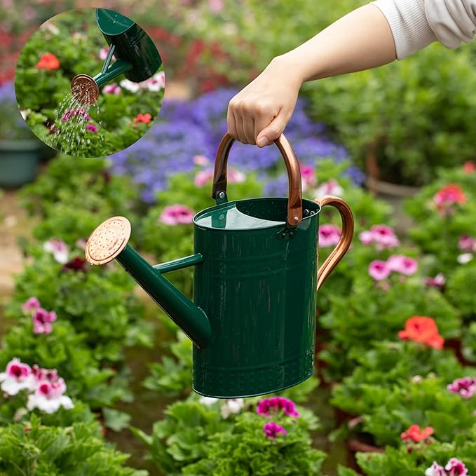 Gardenised 1 Gallon Galvanized Metal Watering Can with Removable Long Spout & Sprinkler Head for Indoor & Outdoor Use Ideal for Garden Flowers Potted Plants Houseplants Modern Home Accessories, Green