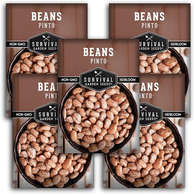 Pinto Bean Seeds for Planting - 5 Packets with Instructions for Growing Mottled/Peruano Beans in The Home Vegetable Garden - Non-GMO Open-Pollinated Heirloom & Untreated - Survival Garden Seeds