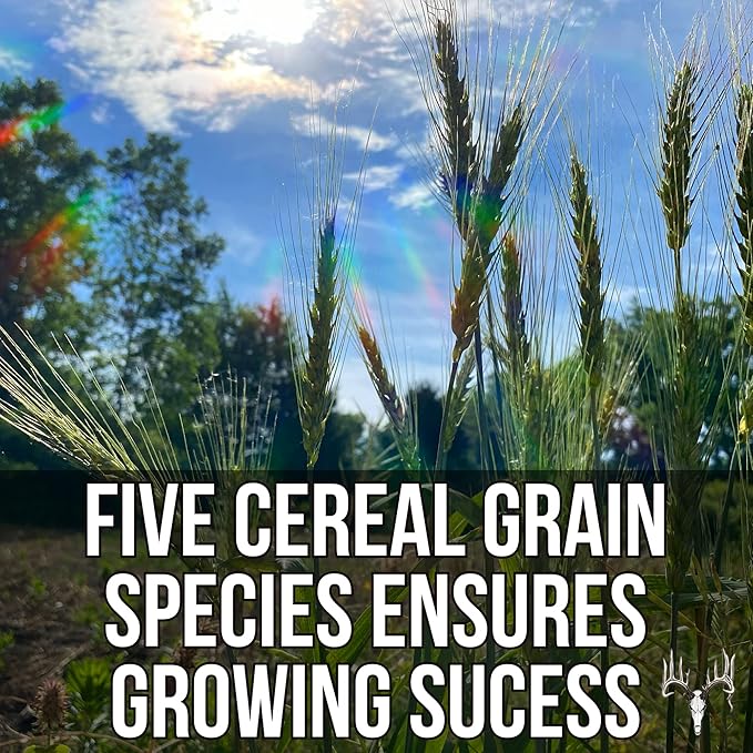Crooked Bend Last Resort Blend, 50LB Bulk, Winter Food Plot Seed for Deer, Cereal Grain Rye, Wheat, Barley, Triticale & Oat Seeds Grow Whitetail & Turkey Attractants & Cold Hardy Hunting Food Plots