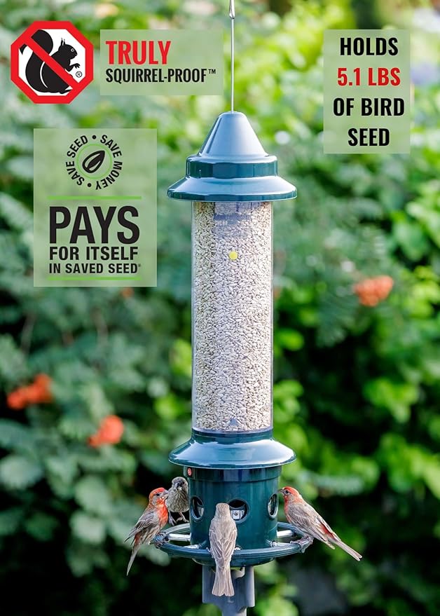 Squirrel Buster Plus Squirrel-proof Bird Feeder w/Cardinal Ring and 6 Feeding Ports, 5.1-pound Seed Capacity, Adjustable, Pole-mountable (POLE ADAPTOR SOLD SEPARATELY), Green