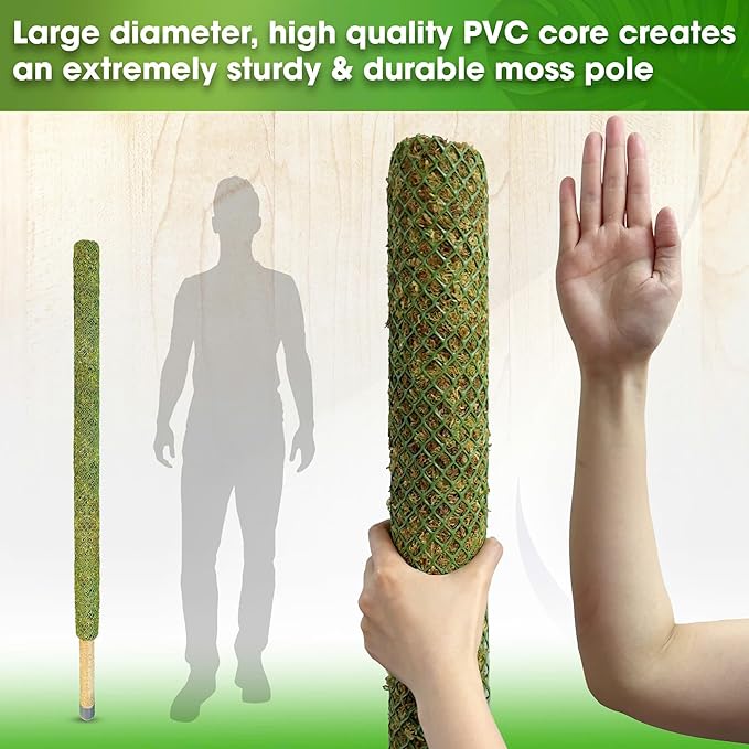 DUSPRO 59ββ Large Green Mesh Moss Pole Monstera Plant Support, Tall Plant Stakes, Moss Pole for Plants Monstera, Garden Pole, Moisture Stick for Plants (1pc., 59''), Natural