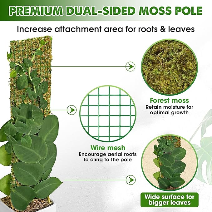 DUSPRO Flat Mesh Moss Poles for Climbing Plants Monstera Stackable Moss Pole for Plants with Real Moss Moss Plant Pole for Potted Plants Handmade Moss Stick for Indoor Plants Grow Upward 2 Pack 22β