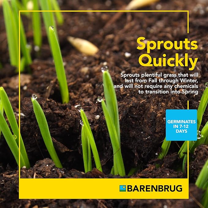 Barenbrug Wonderlawn Winter Grass Seed Mix for Lawn Care and Landscaping, 5 lbs. Bag