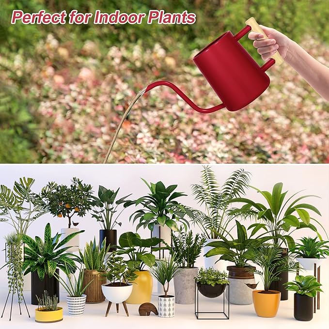 Watering Can Indoor Plants, 35 oz/1000 ml Metal Stainless Steel Watering Can Pot with Long Spout for Indoor House Plants Bonsai Outdoor Garden Flower Decorative (Red)