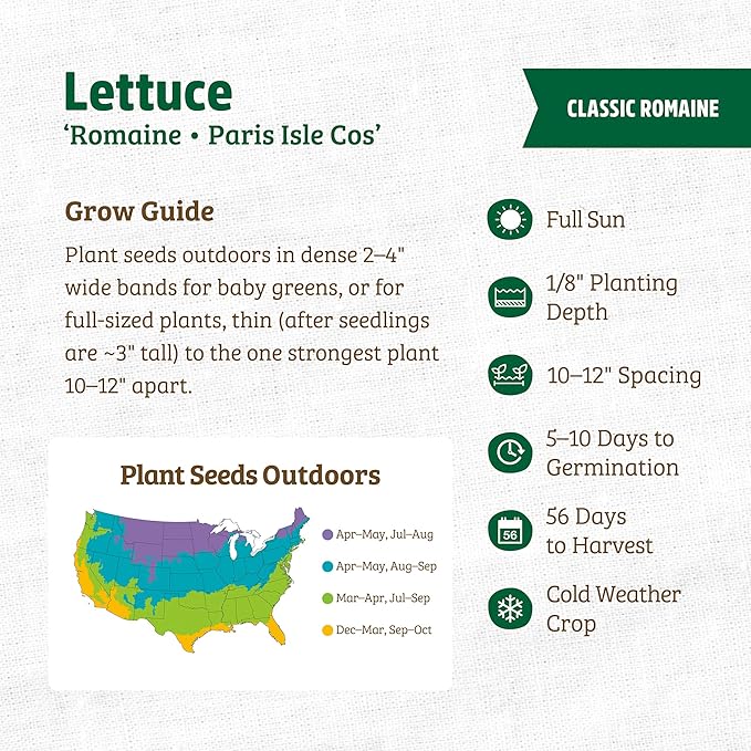 Back to The Roots 100% Organic Heirloom Seeds - Romaine Lettuce Value Pack (840mg Total)