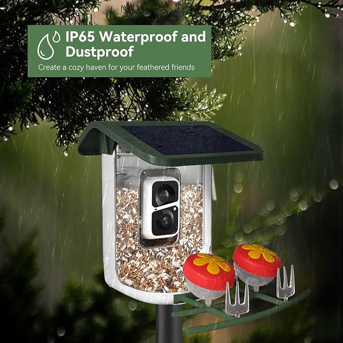 Smart Bird Feeder with Camera, Solar Bird Feeder - 2K HD Live Video Camera AI Identify Birds, Visible Window Auto Capture -Instant Arrival Alerts, Birds Lover Gifts