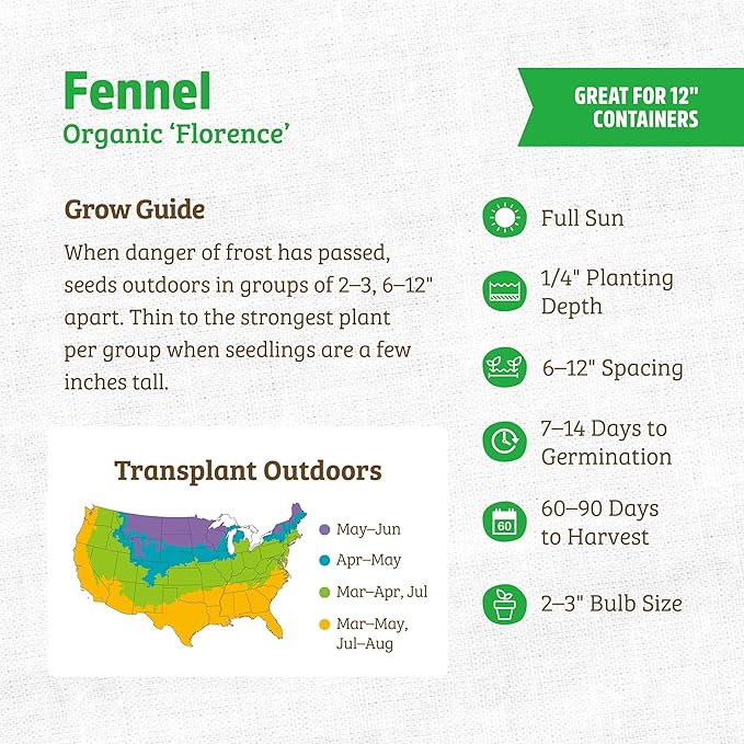 Back to The Roots 100% Organic Heirloom Seeds - Fennel Value Pack (800mg Total)