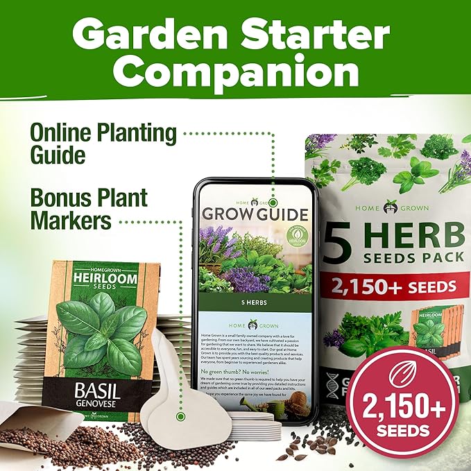 HOME GROWN 5 Herb Seeds for Planting 2,150+ Non-GMO Heirloom Seeds | Extra Large Variety Pack Herb Kit โ Indoor Outdoor & Hydroponic | Culinary Seed Set | Grow Your Own Herbs | Gift for Beginners