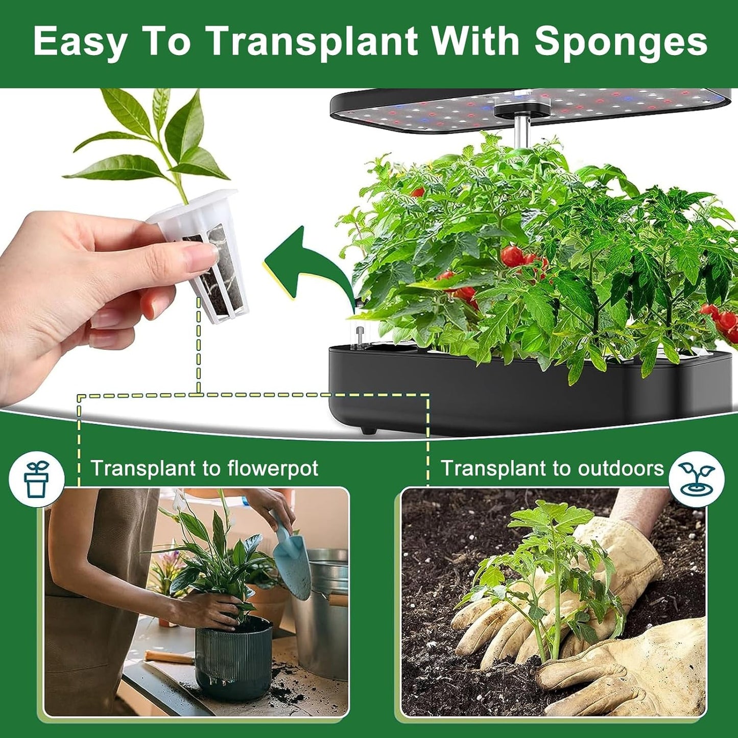 61 Pack Grow Sponges, Replacement Root Growth Sponges Seed Pods Compatible with AeroGarden, Compatible with Hydroponics Growing System Kit, Includes 10 Plant Labels and 1 Tweezers