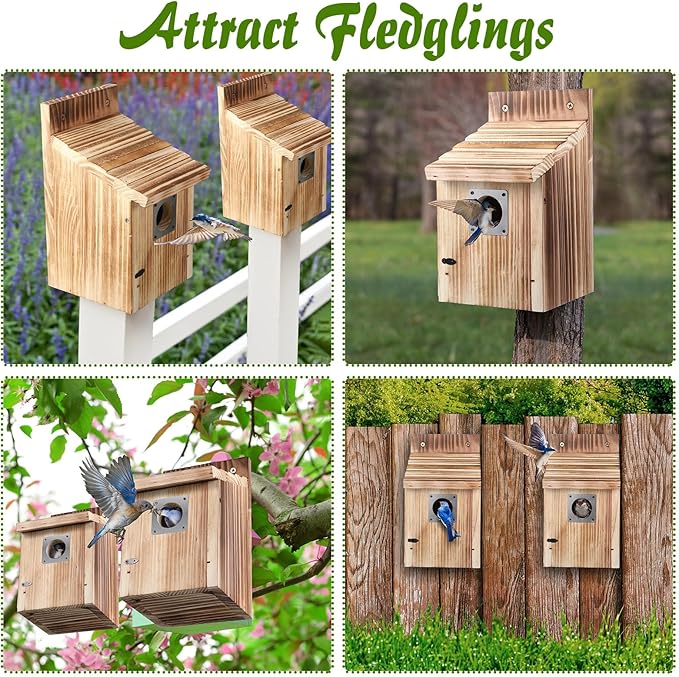 Dreyoo 3 Pack Cedar Bluebird Box Houses for Outside, 1-1/2” Entrance Hole Wooden Bird Houses with Metal Predator Guard, Secure Latch, Fledgling Grooves, Air Vents for Bluebird Wren Swallow Finch