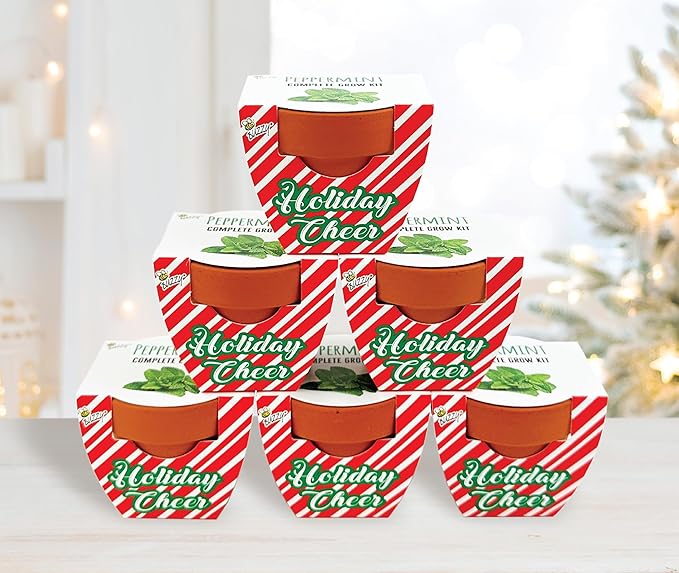 BUZZY Seeds Holiday Candy Cane Mini Terracotta Grow Pots, 6-Pack Peppermint Seeds, Indoor Plant Starter Kit, Stocking Stuffers, Party Favors Adults, for Kids