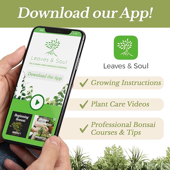 Succulent Soil Premium All Purpose Blend | Large 2.2 Quarts | Pre-Mixed Ready to Use for Cactus and Succulents | Canadian Peat, Course Sand, Pinebark | Made in USA