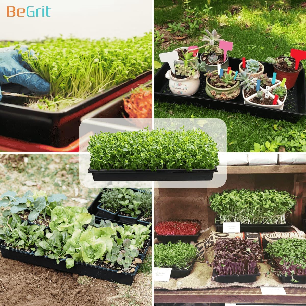 BeGrit 1020 Mesh Trays 1020 Trays with Holes Mesh Bottom Tray for Microgreen Plant Seed Germination Propagator Tray 10'' x 21'' 6-Pack