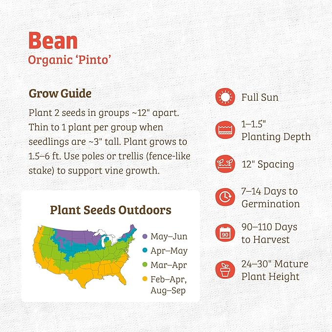 Back to The Roots 100% Organic Heirloom Seeds - Pinto Bean Seeds for Planting Value Pack (16.8g Total)