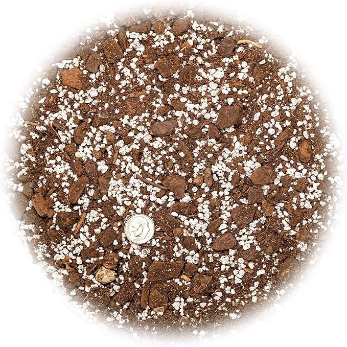 GARDENERA Premium Aloe Vera Potting Soil Mix - 20 Quart - (4 Bags of 5QT)