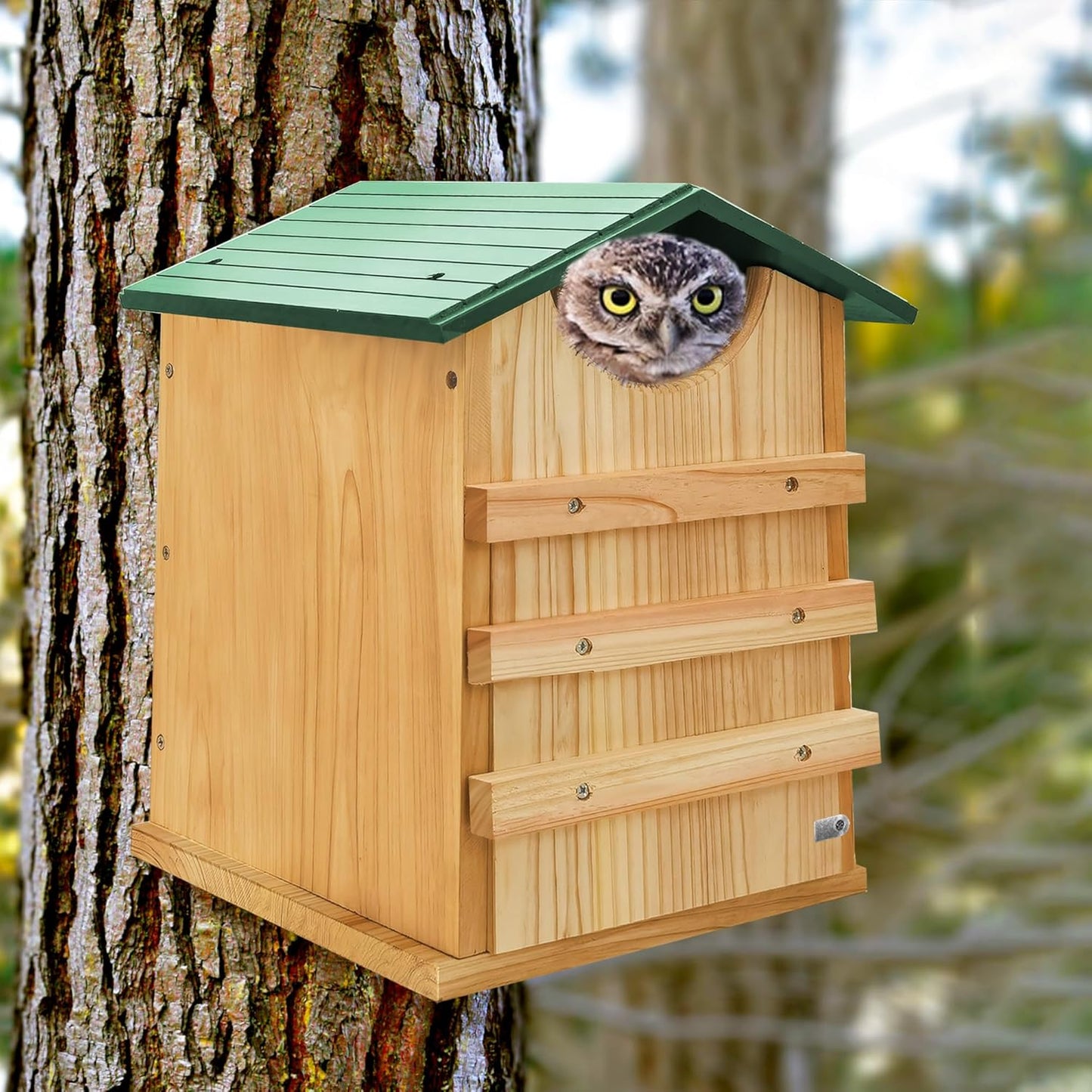 Prolee Screech Owl House Hand Made 14 x 10 Inch Cedar Wood Owl Box with Mounting Screws, Easy Assembly Required (Standard)