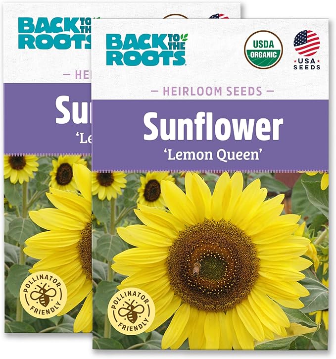 Back to The Roots 100% Organic Heirloom Seeds - Lemon Yellow Sunflower Value Pack (1.4g Total)