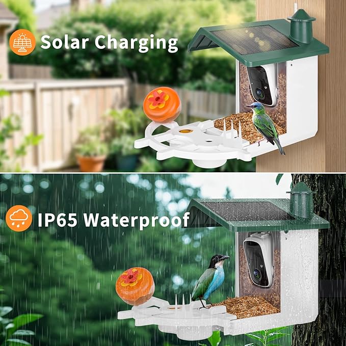Smart Bird Feeder with Camera for Outside, 2K Ai Camera Feeder Wireless Outdoor, Bird House with Solar Powered Video Live Auto Capture, Watching Gifts for Birds Lovers