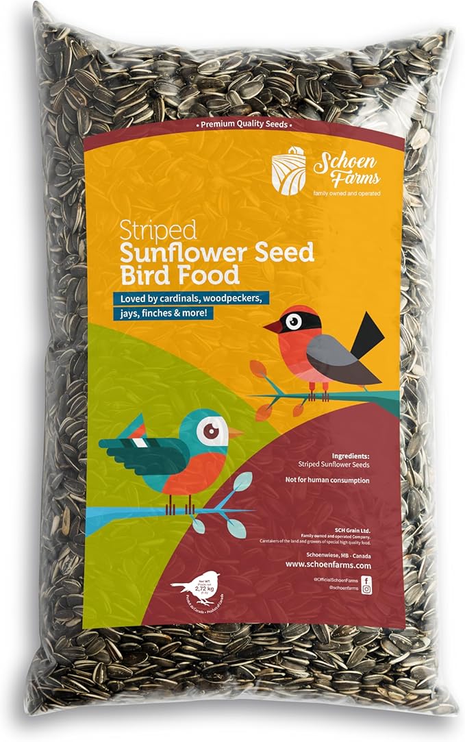 Schoen Farms Striped Sunflower Seeds – Hulled Wild Bird Food – 6 lb Bag – Premium Bird Seed for Cardinals, Jays & Finches