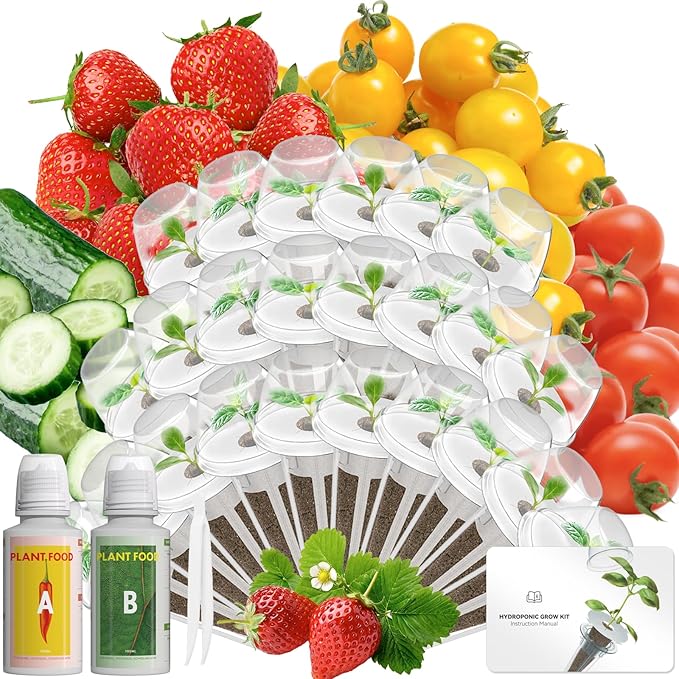 LYKOCLEAN Fruits Seed Pod Kit for AeroGarden, Ahopegarden, iDoo, GARDENCUBE, MUFGA with Strawberry, Cucumber, Red/Golden Cherry Tomato, Compatible with All Indoor Hydroponics Growing System, 24-Pod