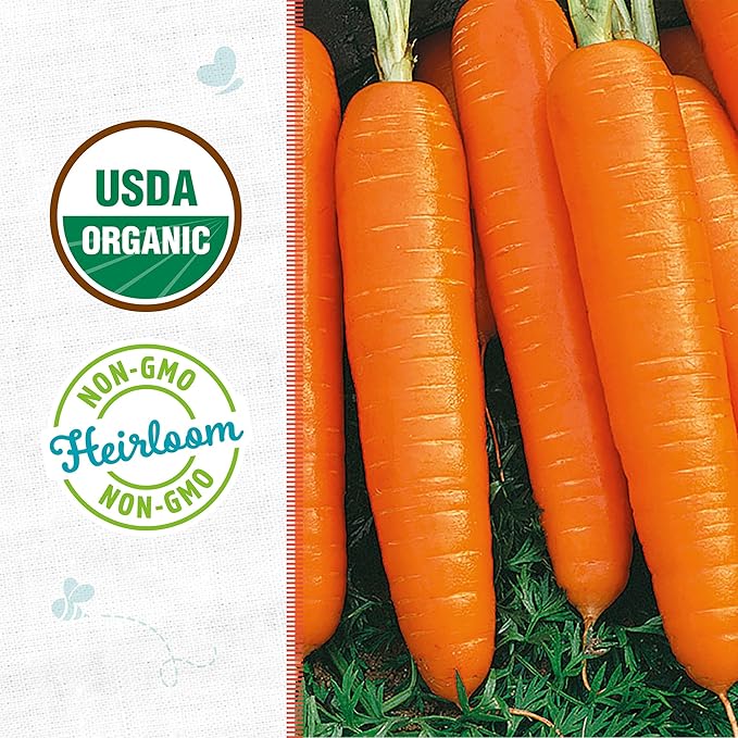 Back to The Roots 100% Organic Heirloom Seeds - Carrot Value Pack (840mg Total)