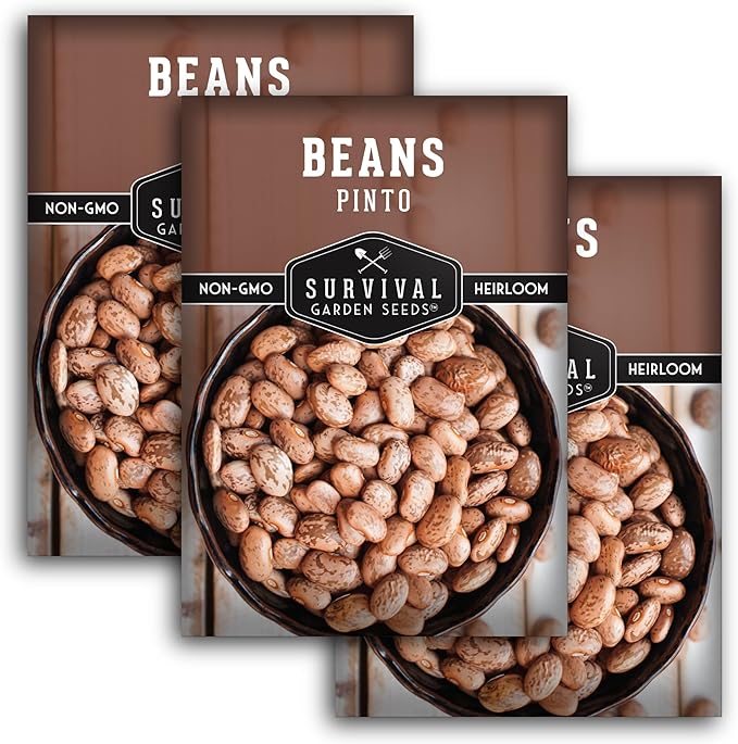 Pinto Bean Seeds for Planting - 3 Packets with Instructions for Growing Mottled/Peruano Beans in The Home Vegetable Garden - Non-GMO Open-Pollinated Heirloom & Untreated - Survival Garden Seeds