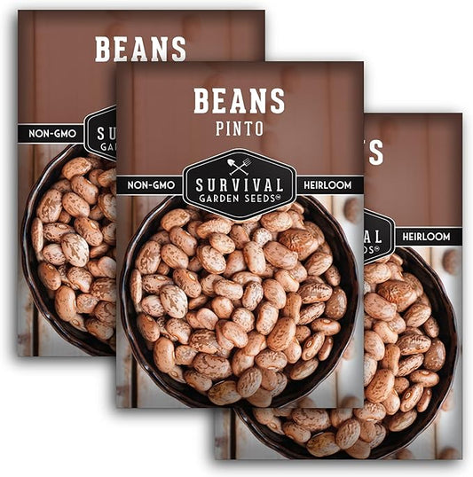 Pinto Bean Seeds for Planting - 3 Packets with Instructions for Growing Mottled/Peruano Beans in The Home Vegetable Garden - Non-GMO Open-Pollinated Heirloom & Untreated - Survival Garden Seeds