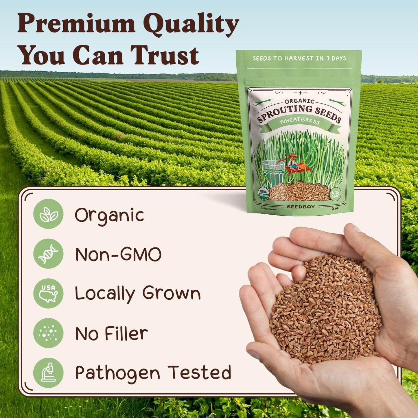 Seedboy Organic Wheatgrass Seeds for Microgreens - Non-GMO, USA Grown Microgreens Sprouting Seeds Mix (8 oz) (Hard Red Spring Wheatgrass)