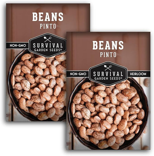 Pinto Bean Seeds for Planting - 2 Packets with Instructions for Growing Mottled/Peruano Beans in The Home Vegetable Garden - Non-GMO Open-Pollinated Heirloom & Untreated - Survival Garden Seeds