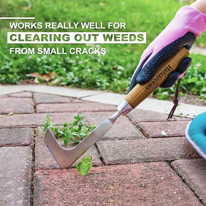 Haliaeetus Crack Weeder, L-Shape Stainless Steel Crevice Weeding Tool, Comfortable Grip Wood Handle Paver Weeder, 11'' Sidewalk Weed Removal Tool for Garden Lawn, Bricked Patio and Terrace Paving Moss