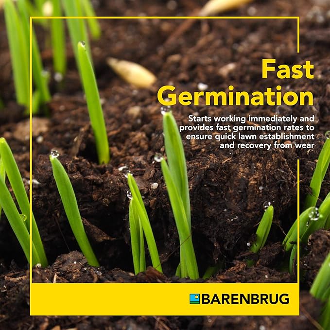 Barenbrug Wonderlawn Perennial Ryegrass Grass Seed for Southern Lawns, Fast-Acting Durable Grass Seed Mix for All Weather Conditions, 10-lb. Bag