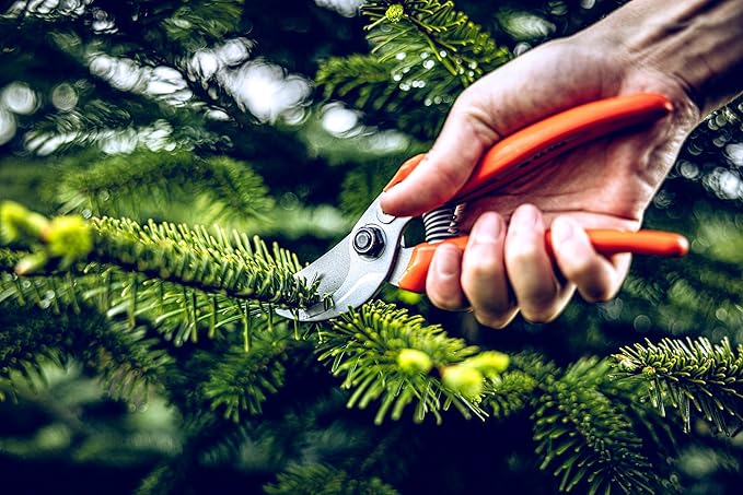 Original LÖWE Bypass Pruner Garden Tools 14.104 | Use as Pruners, Hedge Trimmer, Garden Shears, Pruning Shears for Gardening | For cutting roses, twigs, branches, and cut flowers | Made in Germany