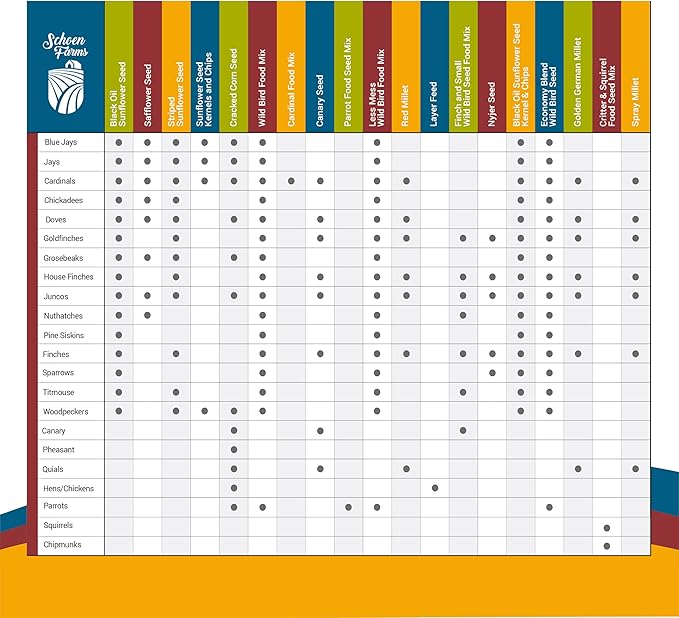 Schoen Farms Striped Sunflower Seeds – Hulled Wild Bird Food – 6 lb Bag – Premium Bird Seed for Cardinals, Jays & Finches
