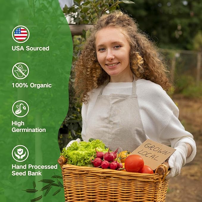 Lush&Dew Raised Garden Bed Heirloom Seed Bank, 32 Varieties 30,000+ Non-GMO Fall Winter Garden Seeds of Vegetables Herbs Fruits, Gardening Gifts for Women Men, Survival Seed Kit Emergency Supplies