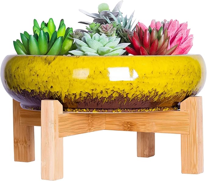 ARTKETTY Succulent Pots - 10 Inch Ceramic Bonsai Pots with Drainage Stand, Large Shallow Planters for Indoor Plants Glazed Cactus Flower Planter Container Bowl