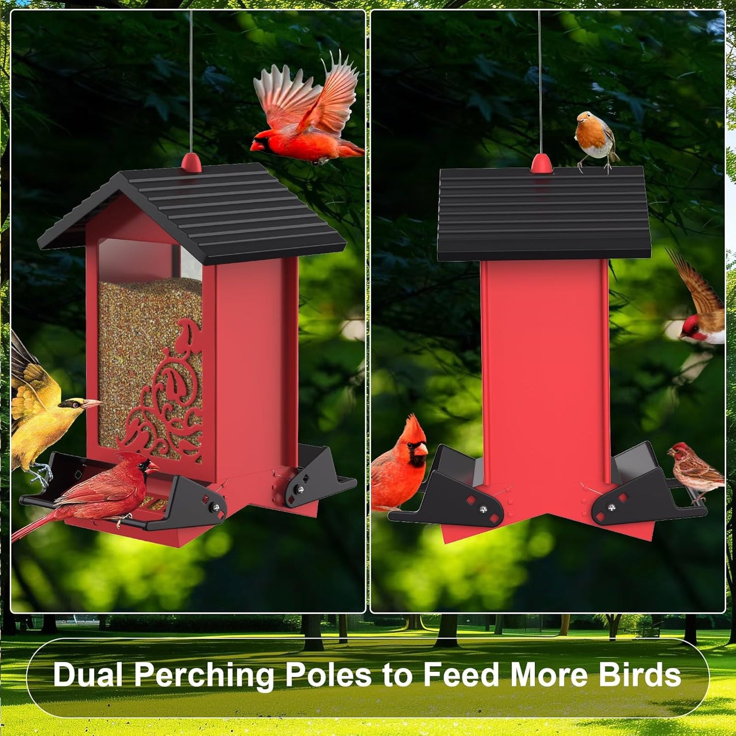 Squirrel Proof Bird Feeder for Outdoor Hanging,Metal Bird Seed Feeder with Bilateral Weight Activated Perches,5LB Large Capacity Wild Bird Feeders for Outside,Easy Refill and Clean,Red