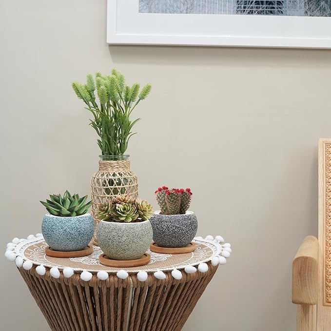 3 inch Ceramic pots for Plants, Small Succulent Pots Set with Drainage, 6 Pack Flower Pot for Indoor Plant, Planters for Little or mini Cactus 2 inches Plants