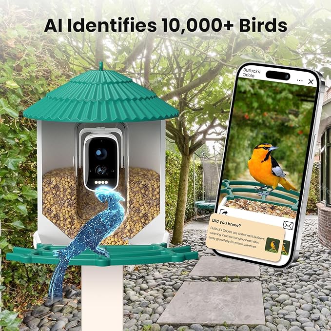Bird Feeders for Outdoors, Smart Bird Feeder with Camera Solar Powered, AI Species Identification, 3K Video Live Stream Camera, 5Mp HD Night Vision, Instant Arrival Alerts