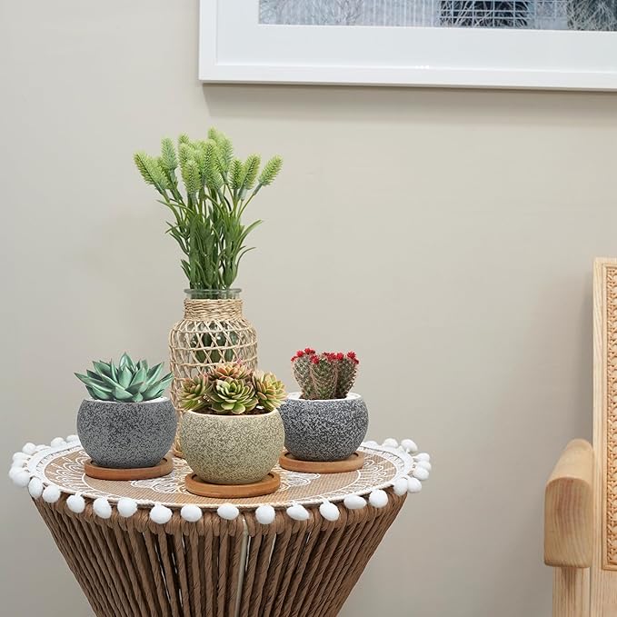 3 inch Ceramic pots for Plants, Small Succulent Pots Set with Drainage, 6 Pack Flower Pot for Indoor Plant, Planters for Little or mini Cactus 2 inches Plants (Green/Black)