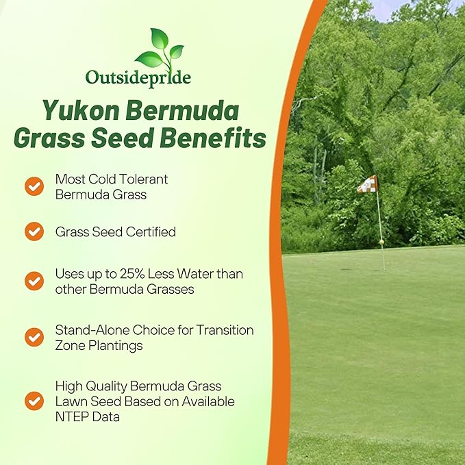 Outsidepride Yukon Bermuda Grass Seed - 5 lbs Cold & High Traffic Tolerant, Premium Hybrid Bermuda Turf Grass Seeds for Lawn, Ideal Low Maintenance Seed Grass for Colder & Challenging Area