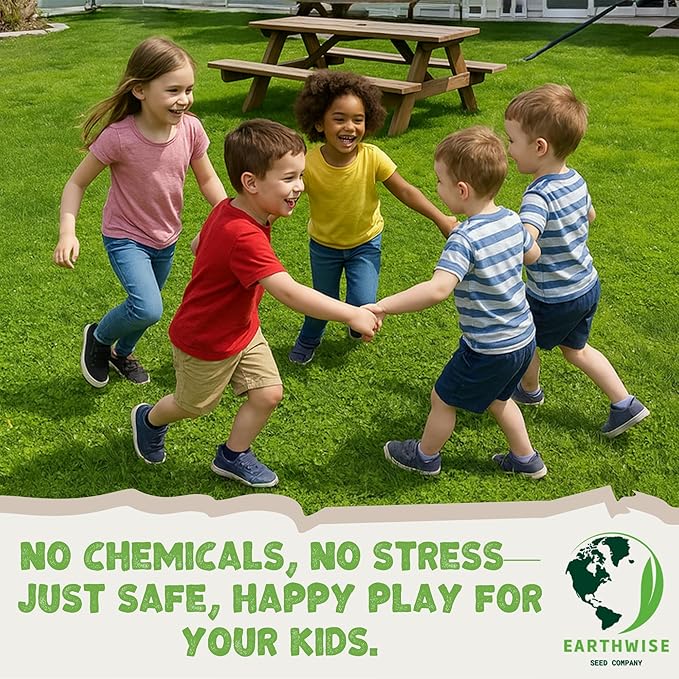 Earthwise Low Grow Alternative Lawn Mix - No Mow - 1lb - Covers 400sq. ft. (Bare) / 1000sq. ft. (overseed)