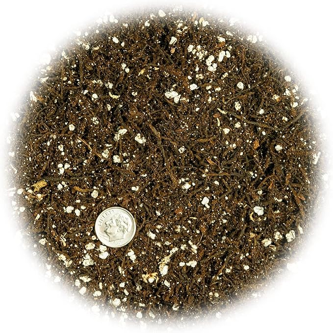 Gardenera Fern + Perlite Soil Mix for Repotting and Planting Succulents and Cactuses - 3 Quart Bag