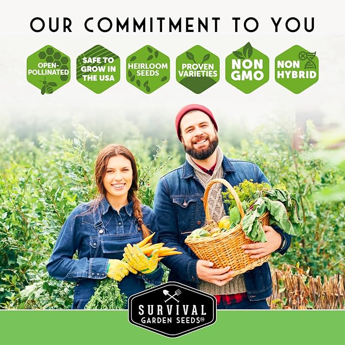 Southern Giant Mustard Green Seeds for Planting – Heirloom Non-GMO Spicy Greens, Heat Tolerant and Slow to Bolt for Home Vegetable Gardens - Survival Garden Seeds (1 Pack)