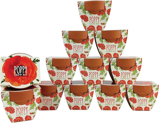BUZZY Seeds 12-Pack Poppy Grow Kit – Mini Terracotta Pots with Poppy Seeds and Growing Medium – Bulk Gardening Gifts, Wedding Favors, Classroom Activities, and Party Favor Flower Kits
